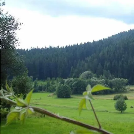Schlagintweit