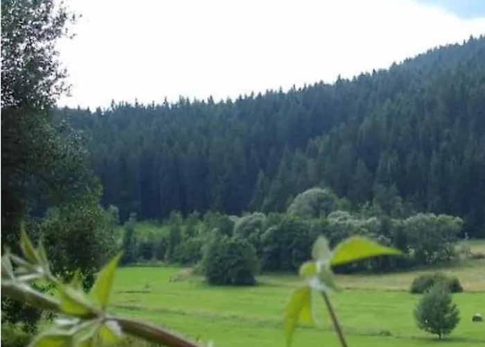Schlagintweit